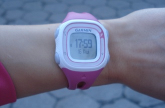 Garmin FR10