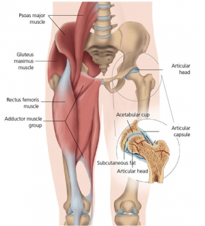 biodro2